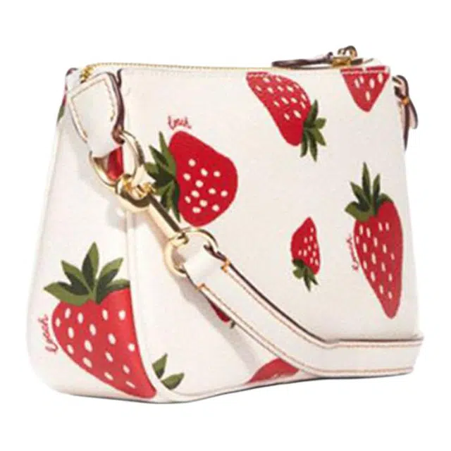 COACH Nolita 19