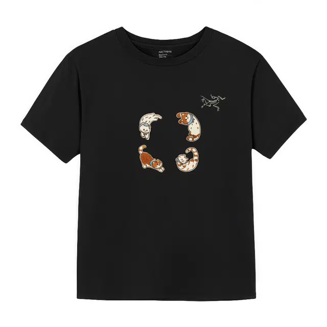 Arcteryx KRAGG SL logoT