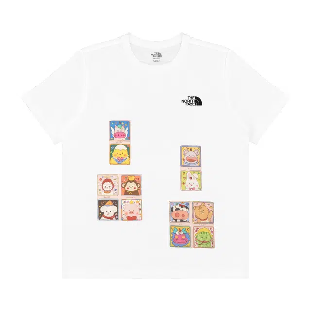 THE NORTH FACE Extraordinary T