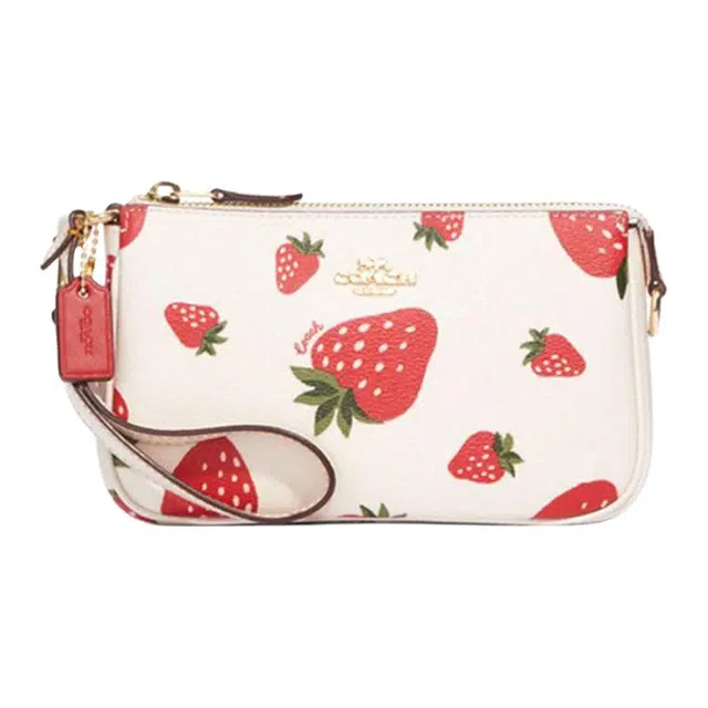 COACH Nolita 19