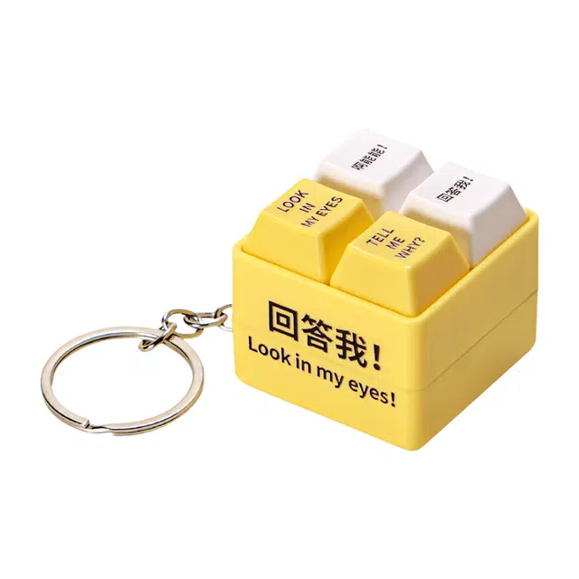 礼莎 回答我按键发声发光 玩具