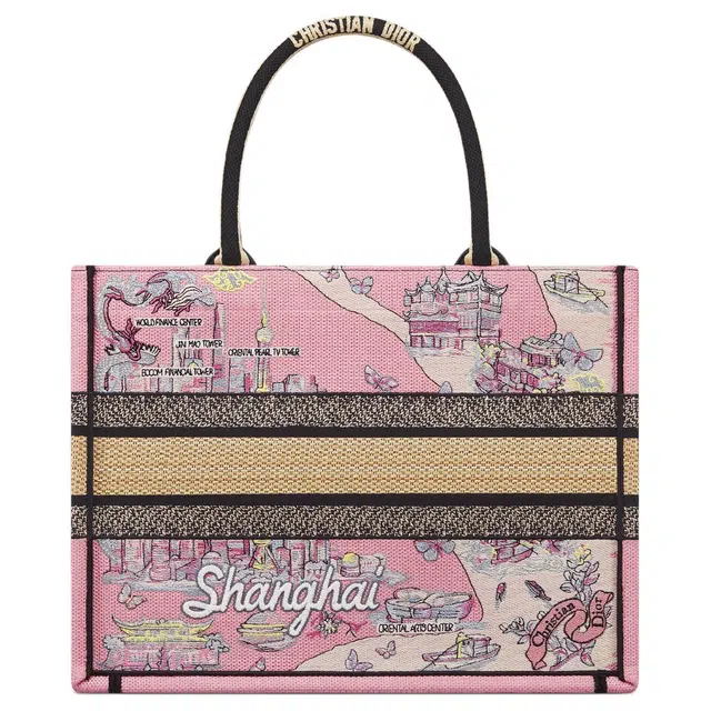 DIOR BookTote Souvenir Tote