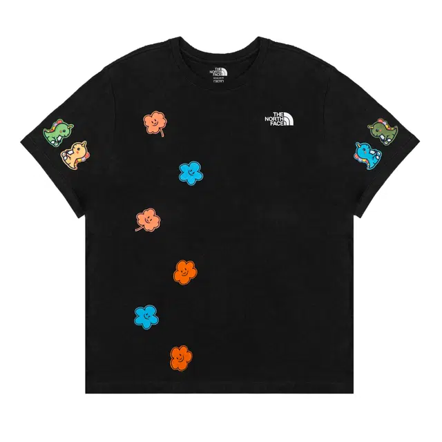 THE NORTH FACE Extraordinary T