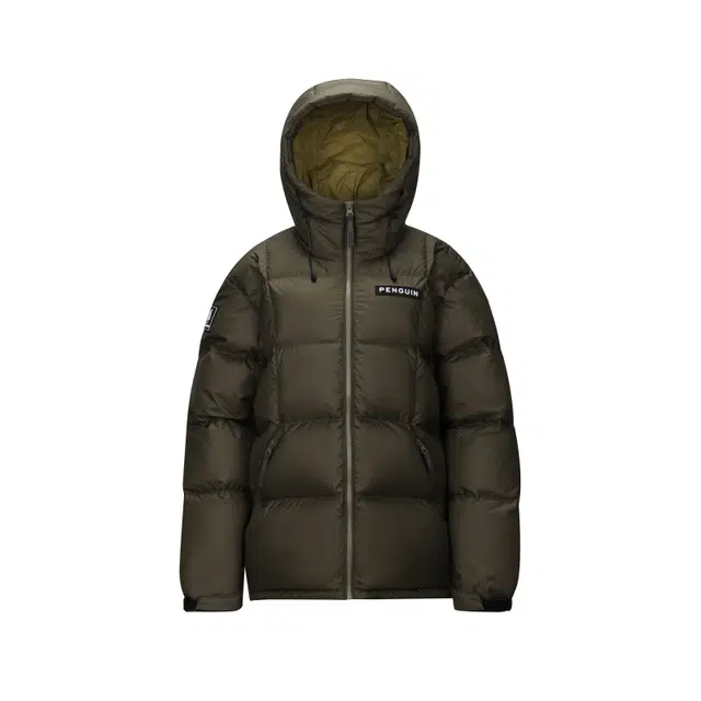 CAMEL Penguin Series