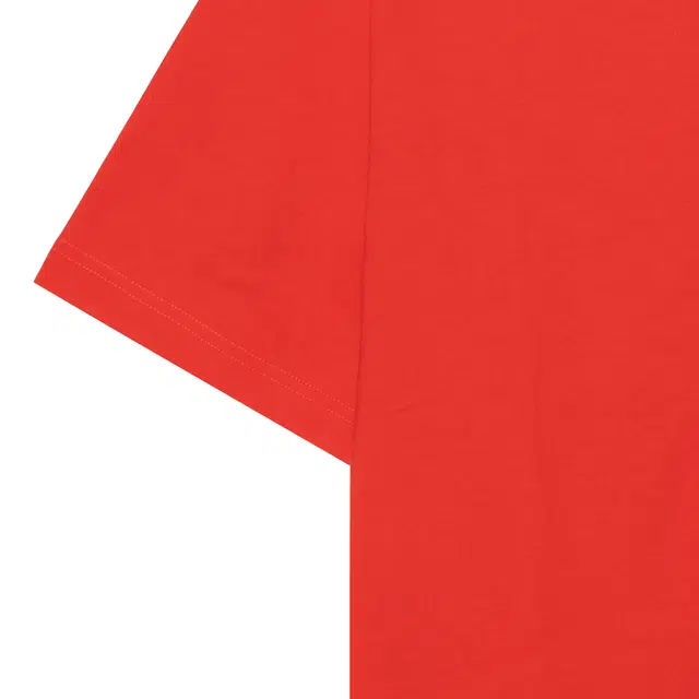 Balenciaga FW22 LogoT