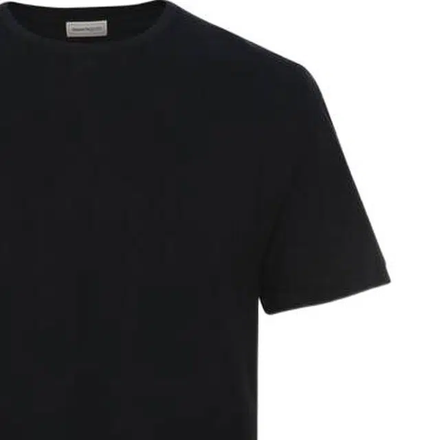 Alexander McQueen FW22 T
