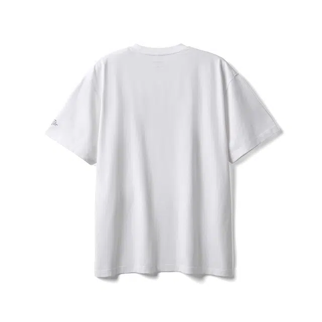 SIMWOOD T