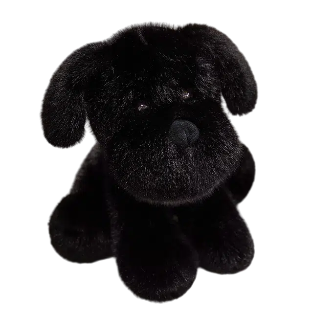 25cm35cm