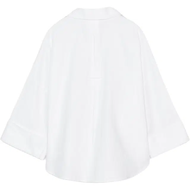 ZARA V