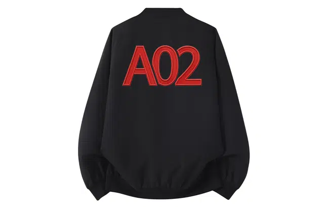 a02 LOGOins