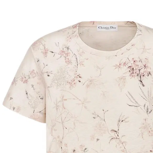 DIOR T