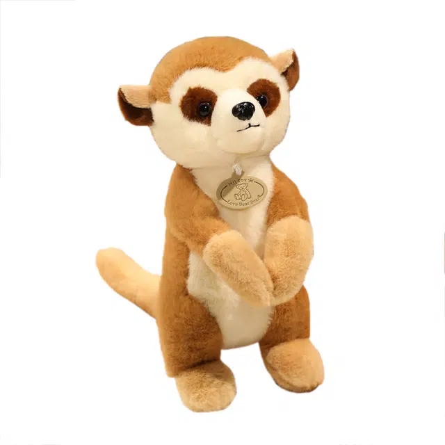 JBBCN 25cm