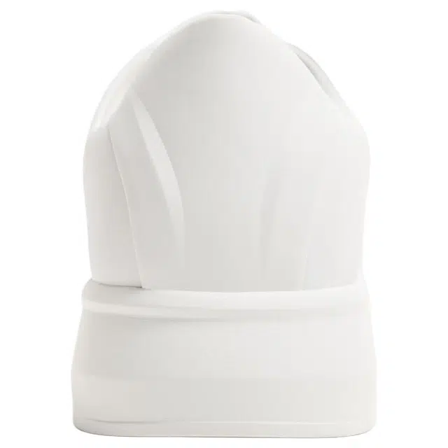 ZARA PU