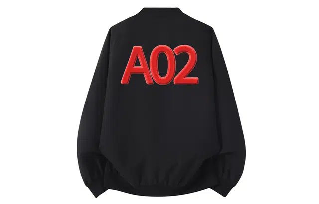 a02 LOGOins