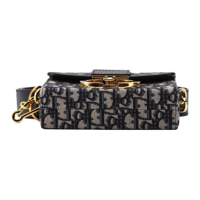 DIOR 30 Montaigne Oblique