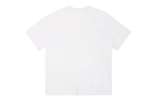 ICONS Lab ICS T