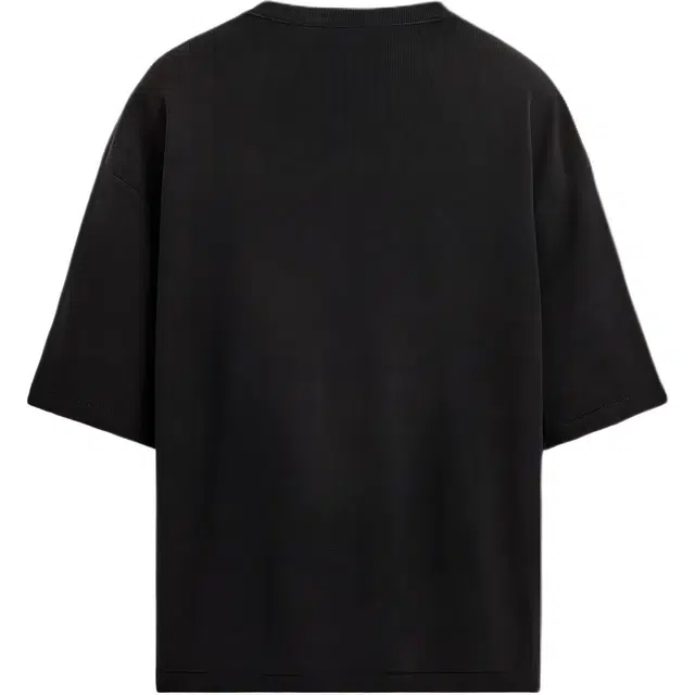ZARA T