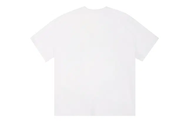 ICONS Lab ICS T