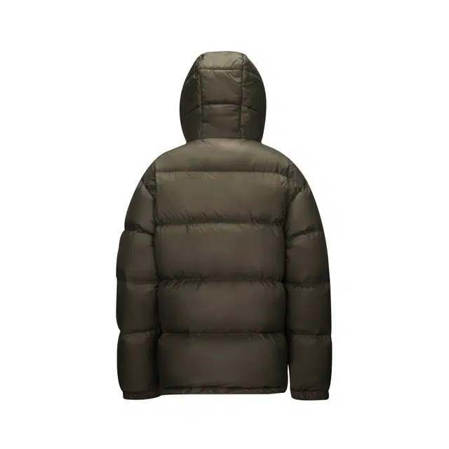 CAMEL Penguin Series