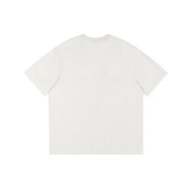 PUNCTILIOUS T