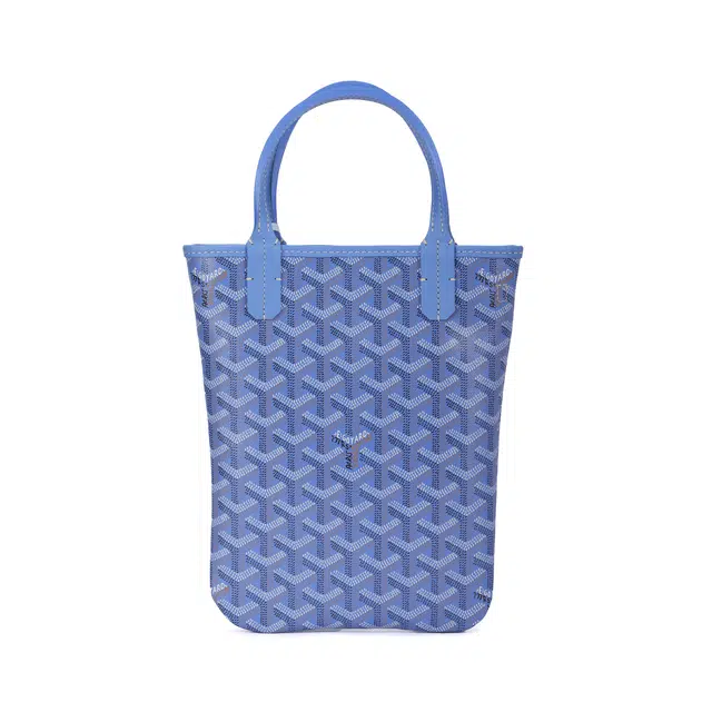 GOYARD SAC POITIERS PM Tote