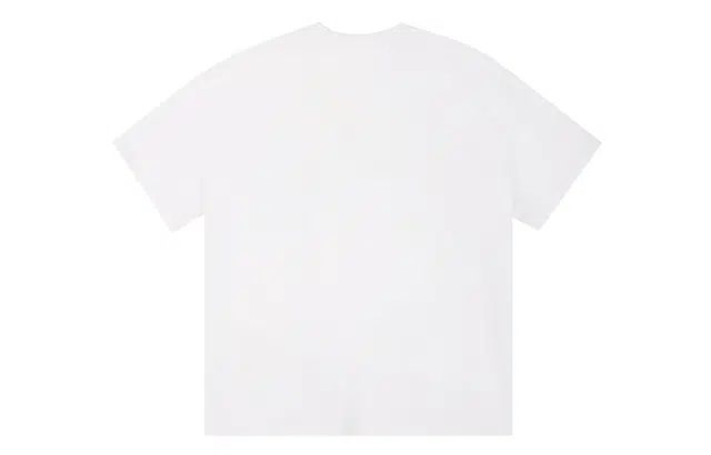 ICONS Lab ICS T
