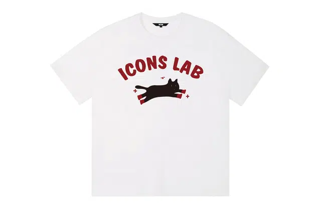 ICONS Lab ICS T
