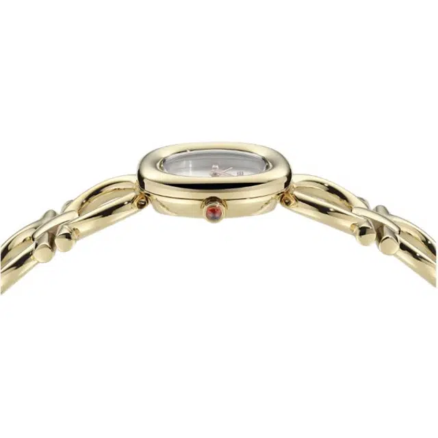 FERRAGAMO 18k 25mm 30