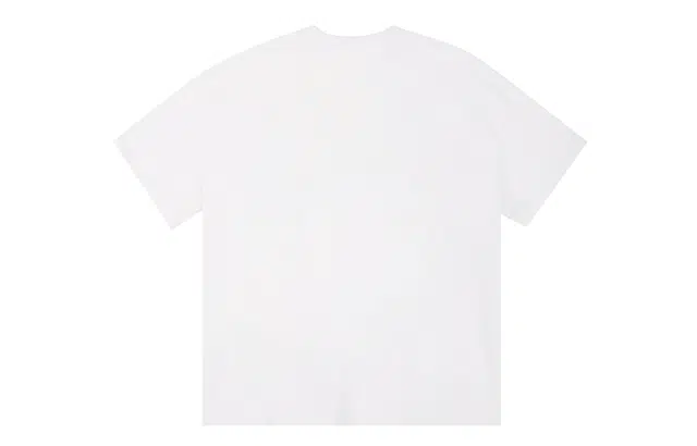 ICONS Lab ICS T