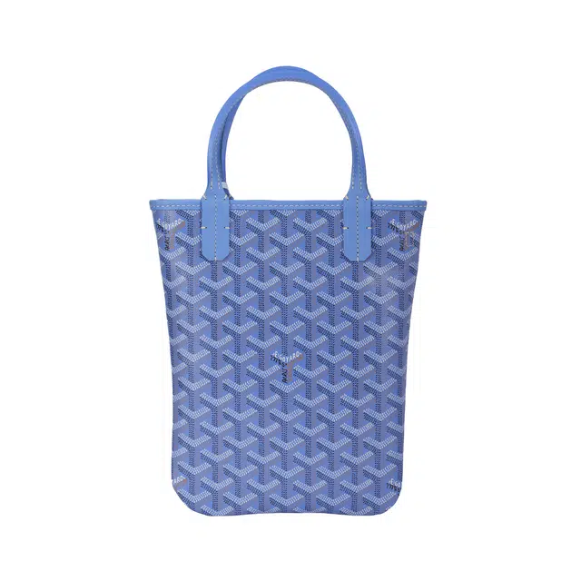 GOYARD SAC POITIERS PM Tote