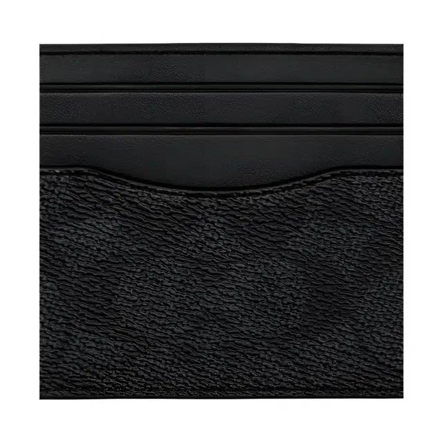 COACH Canvas 10