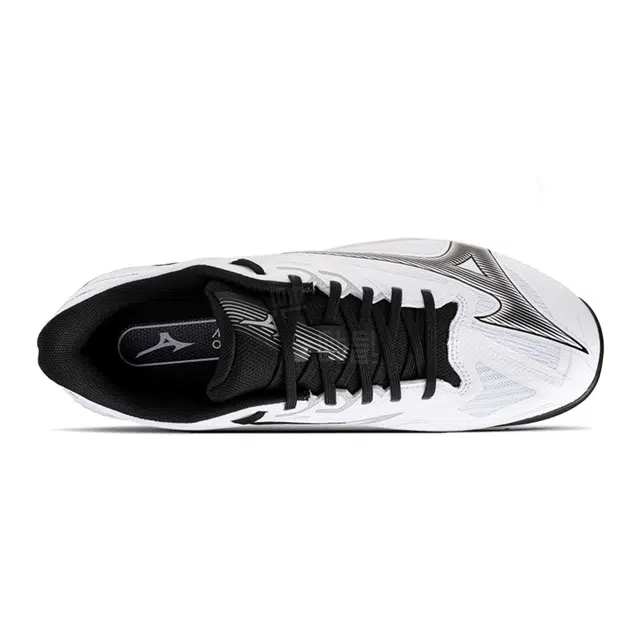 Mizuno WAVE EXCEED COURT AC