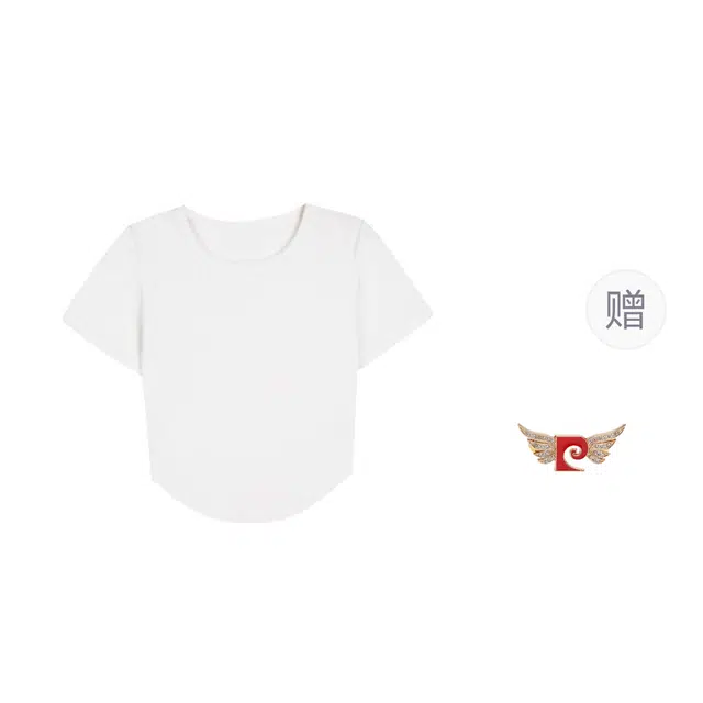 PIERRE CARDIN T