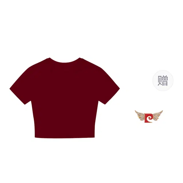 PIERRE CARDIN T