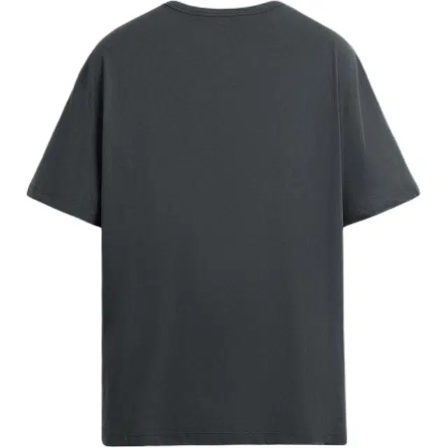 ZARA T