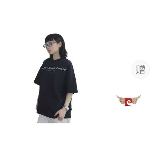 PIERRE CARDIN T