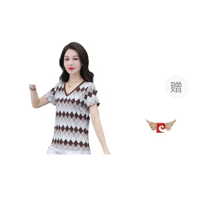 PIERRE CARDIN tV T