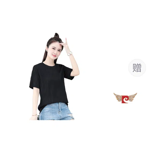 PIERRE CARDIN T