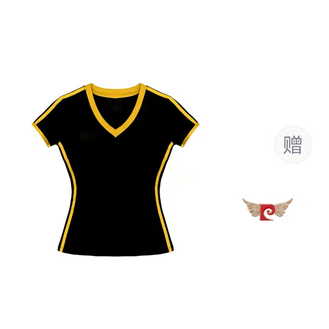 PIERRE CARDIN Vt T