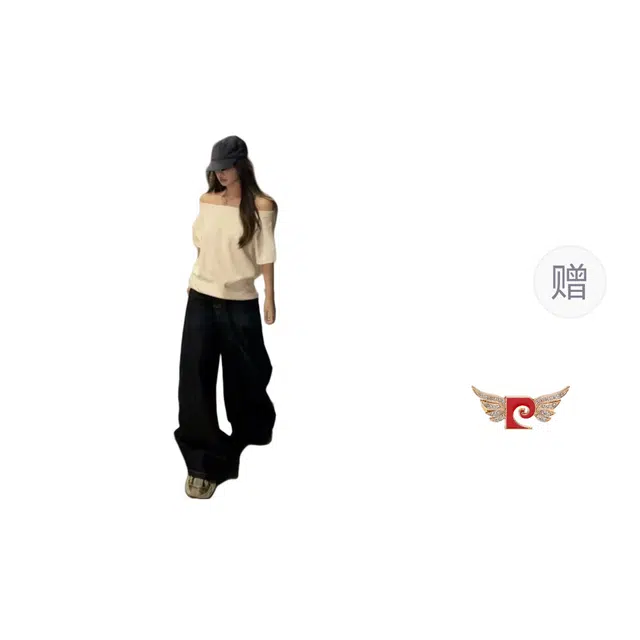 PIERRE CARDIN T