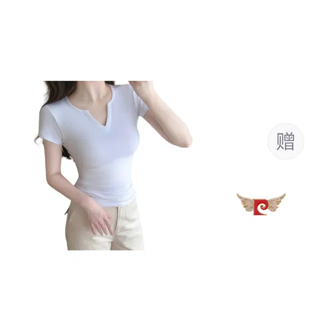 PIERRE CARDIN tv T