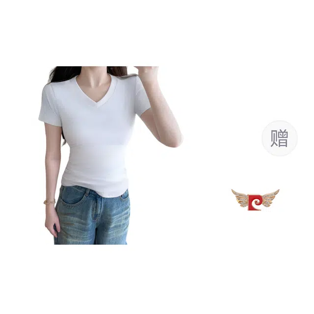 PIERRE CARDIN V T
