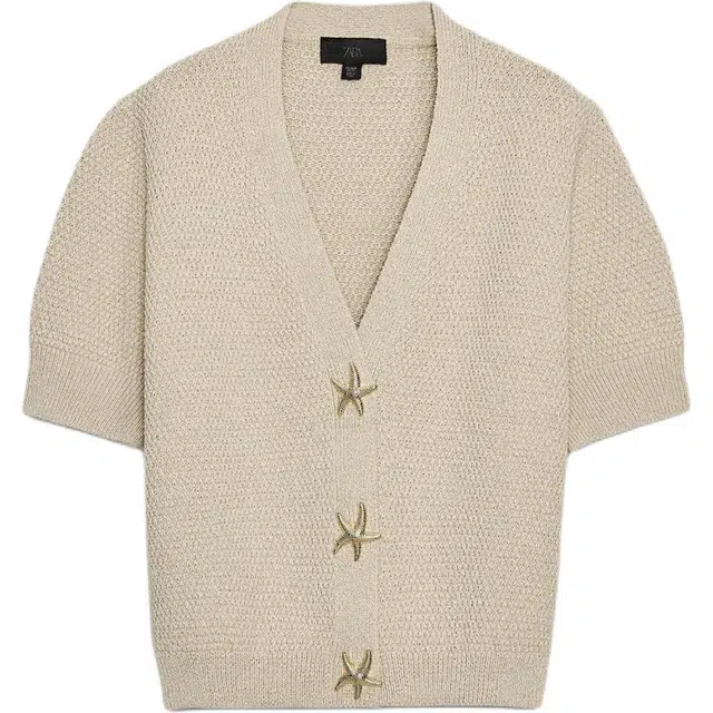 ZARA V-Neck Knit Top