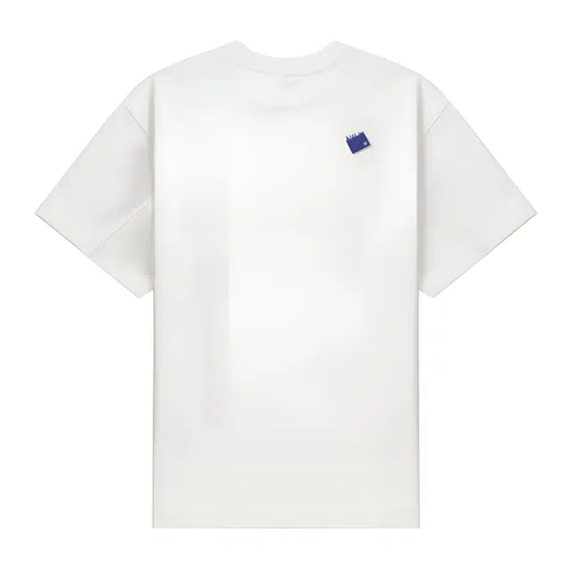 ADER ERROR T