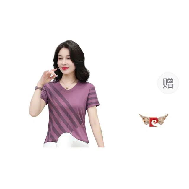 PIERRE CARDIN tv T