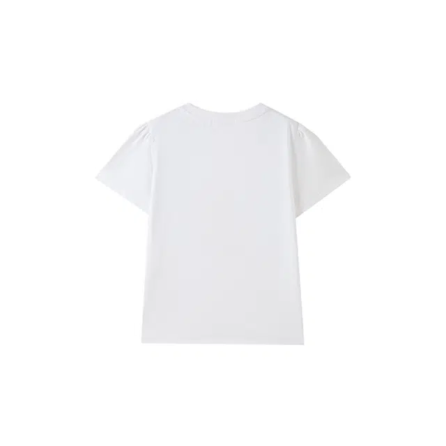 SPAO T