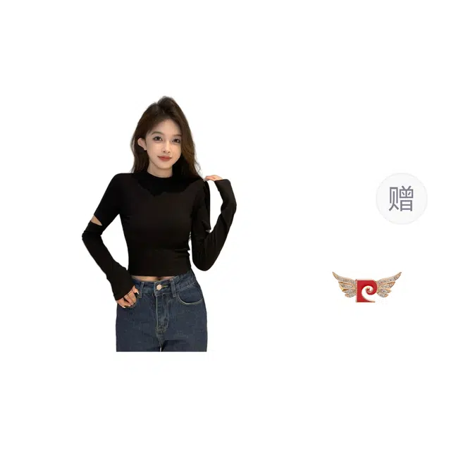 PIERRE CARDIN t T