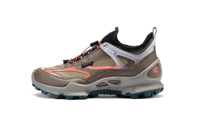 ecco Biom C Trail
