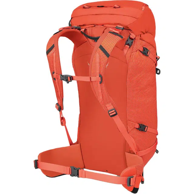 OSPREY38L Mutant