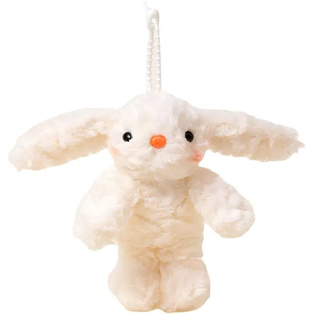 20cm